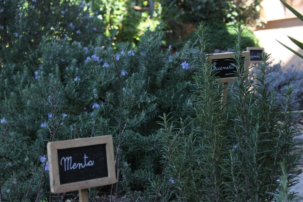 La Caladina Bed and Breakfast Mougins Eksteriør billede